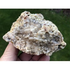 Chalcedon